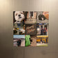 Custom Photo Magnets | Set of 9